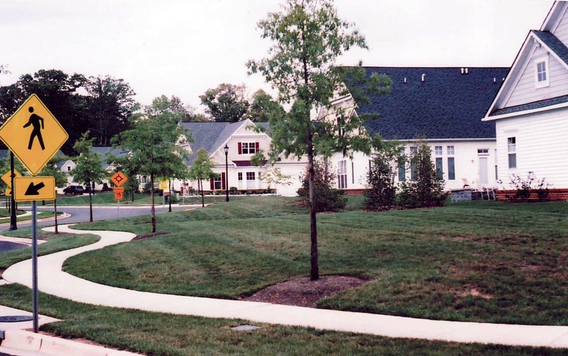 New Houses built in a suburban community